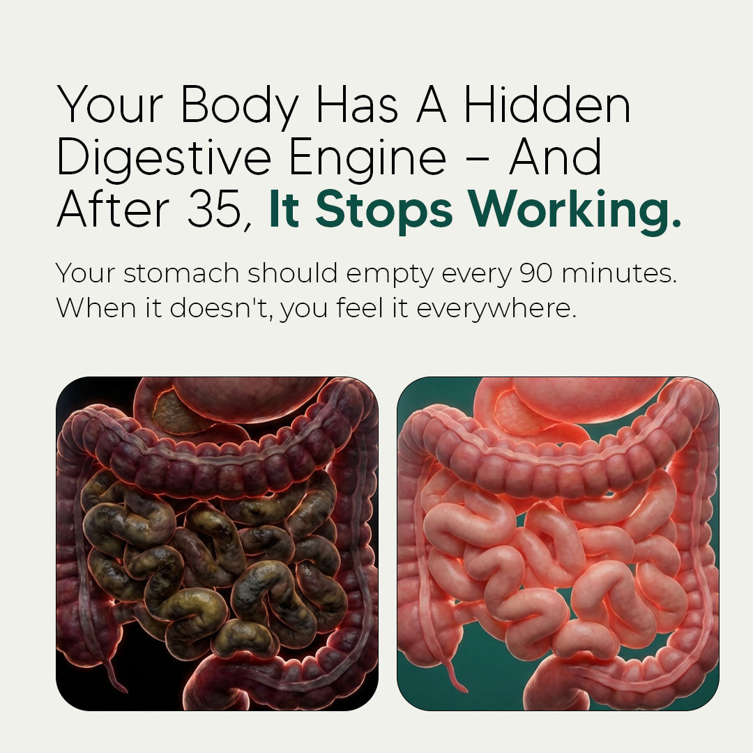 New Maximum Potency Formula - Premium Gut Support by Sculptique™