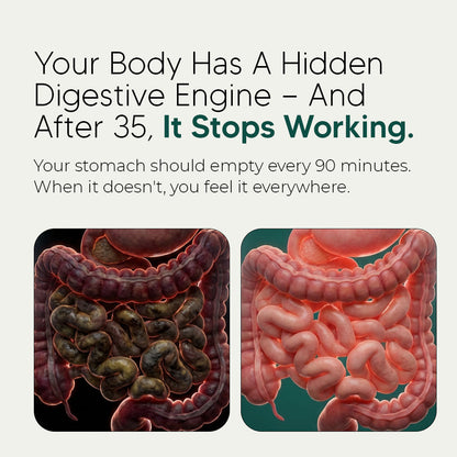 New Maximum Potency Formula - Premium Gut Support by Sculptique™