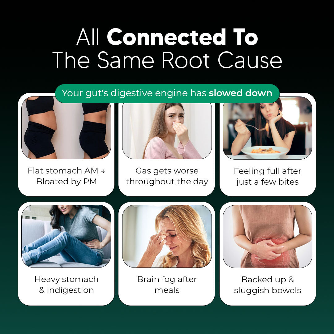 New Maximum Potency Formula - Premium Gut Support by Sculptique™