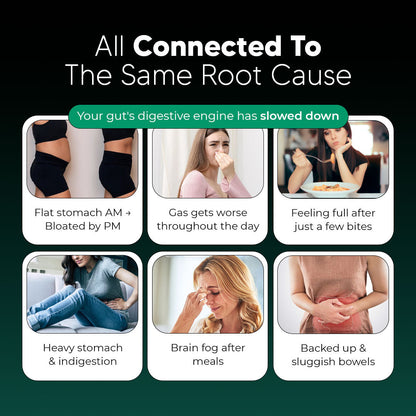 New Maximum Potency Formula - Premium Gut Support by Sculptique™