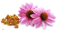 New Maximum Potency Formula - Lymphatic Drainage Capsules by Sculptique™